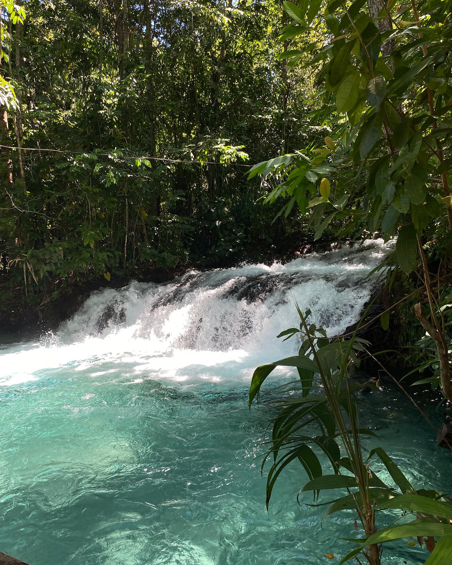 Cachoeira da Formiga Jalapão