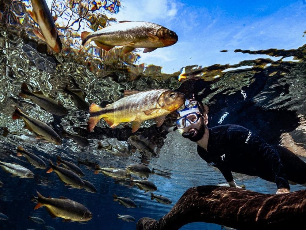 Bonito - Top 7 Ecotourism Destinations in Brazil to Visit in 2024