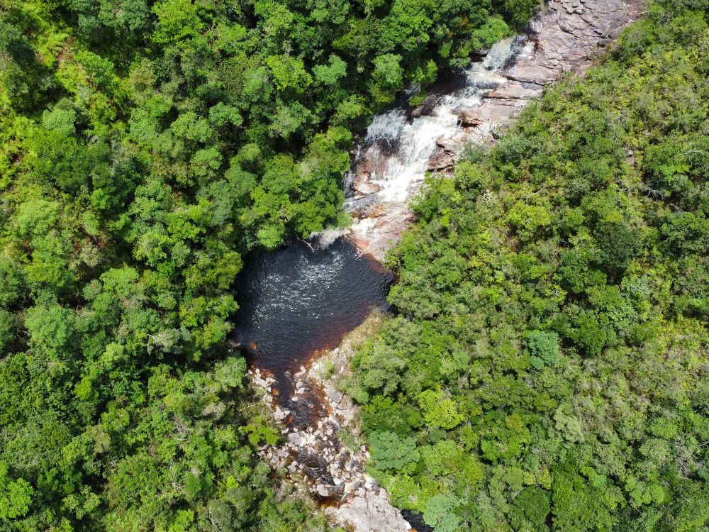  Aerial view of the dark waters of Poço da Árvore, a serene natural pool surrounded by lush green vegetation. 