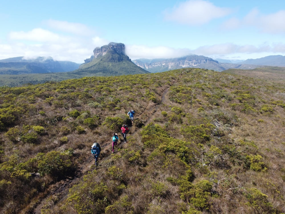 A group of hikers with backpacks walking single file on a mountain trail surrounded by vegetation. 