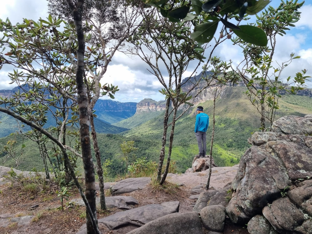 A hiker in a blue jacket standing on a rock framed by trees, looking toward a flat-topped mountain in the distance. 