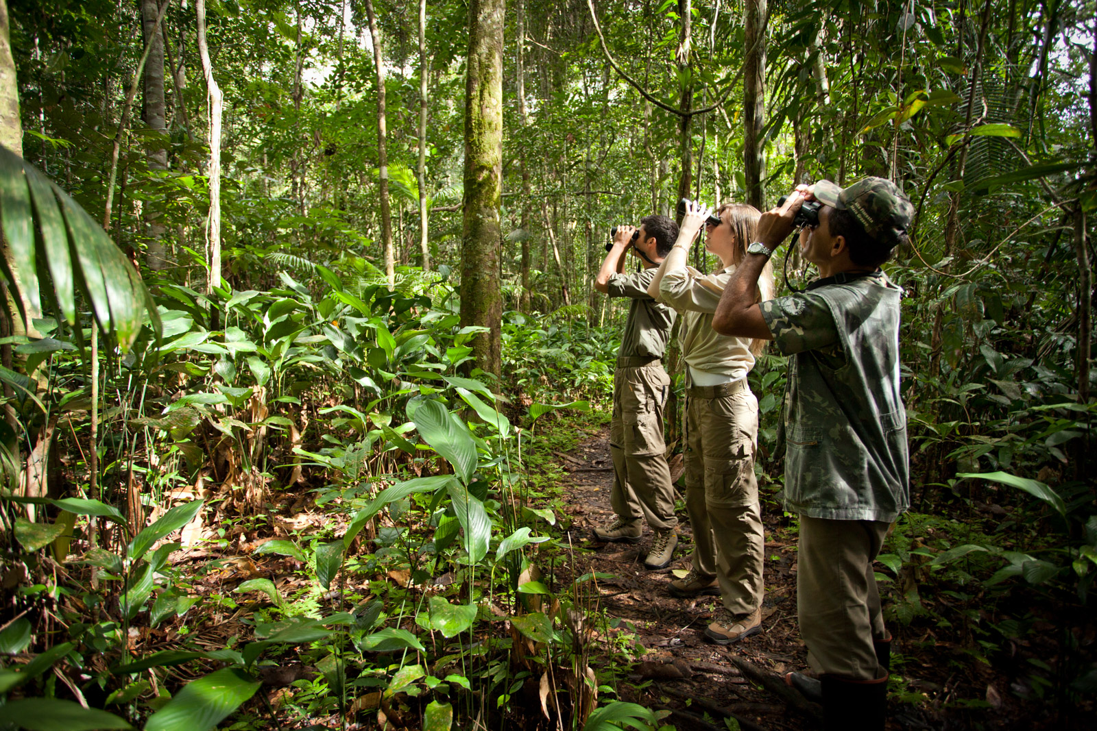 Three tourists on an Amazon jungle tour using binoculars to observe wildlife among giant trees. 