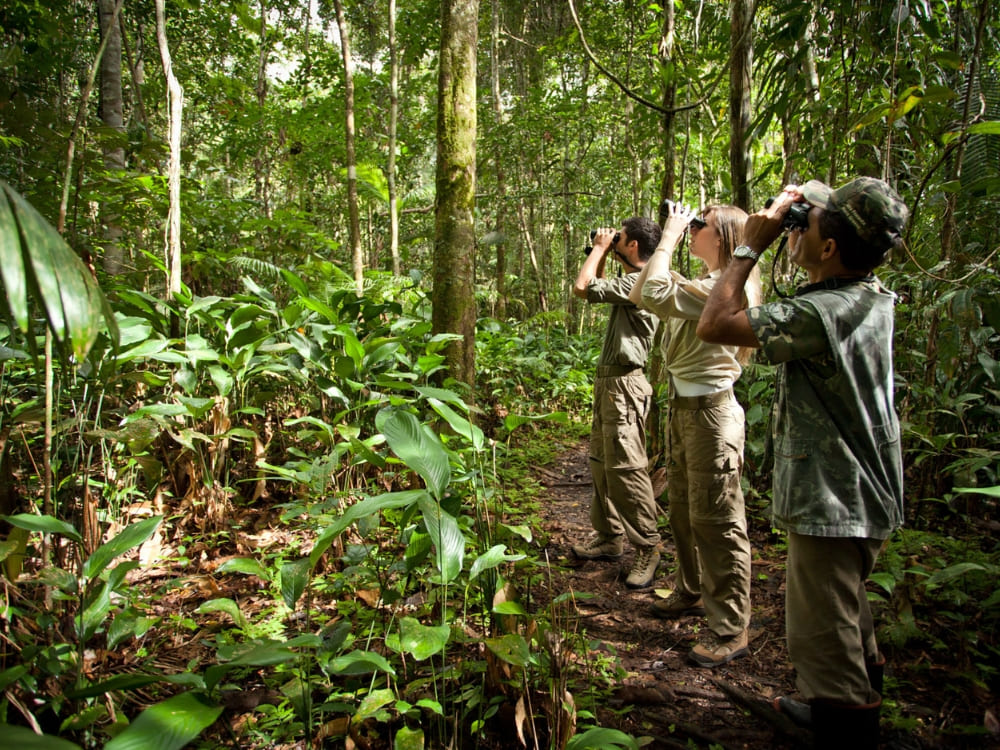 Travelers using binoculars to spot wildlife while hiking through the Amazon jungle.