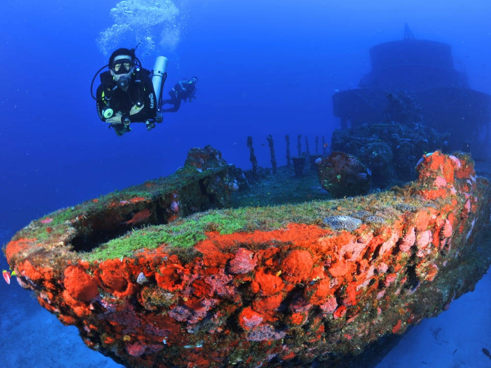 Diving in Fernando de Noronha