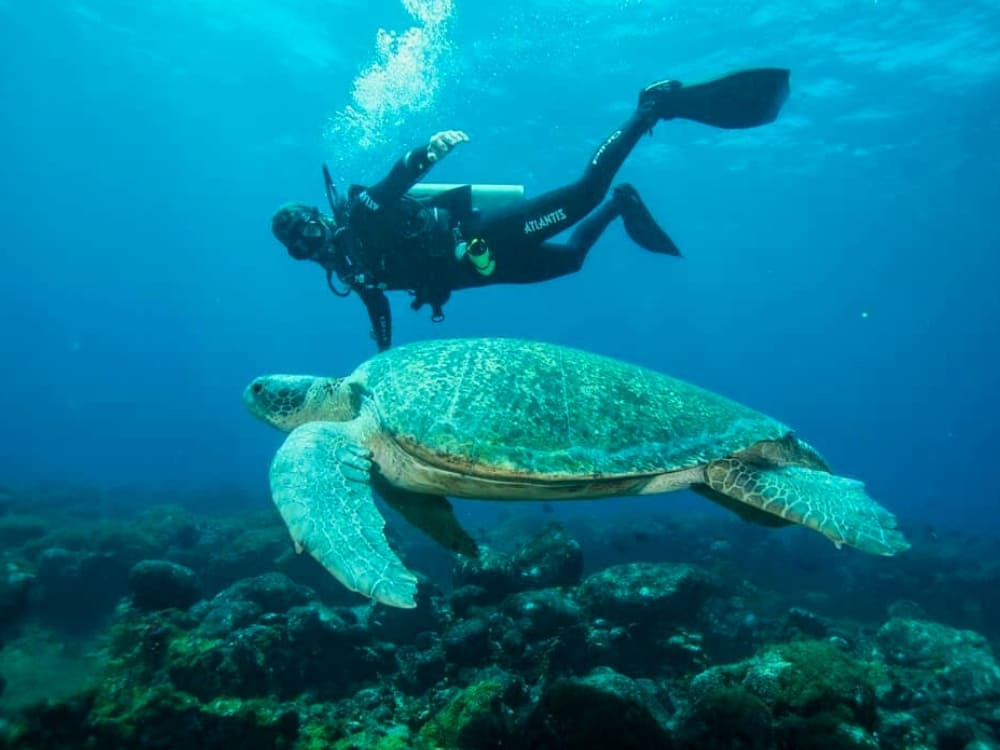 When is The Best Time to Dive in Fernando de Noronha