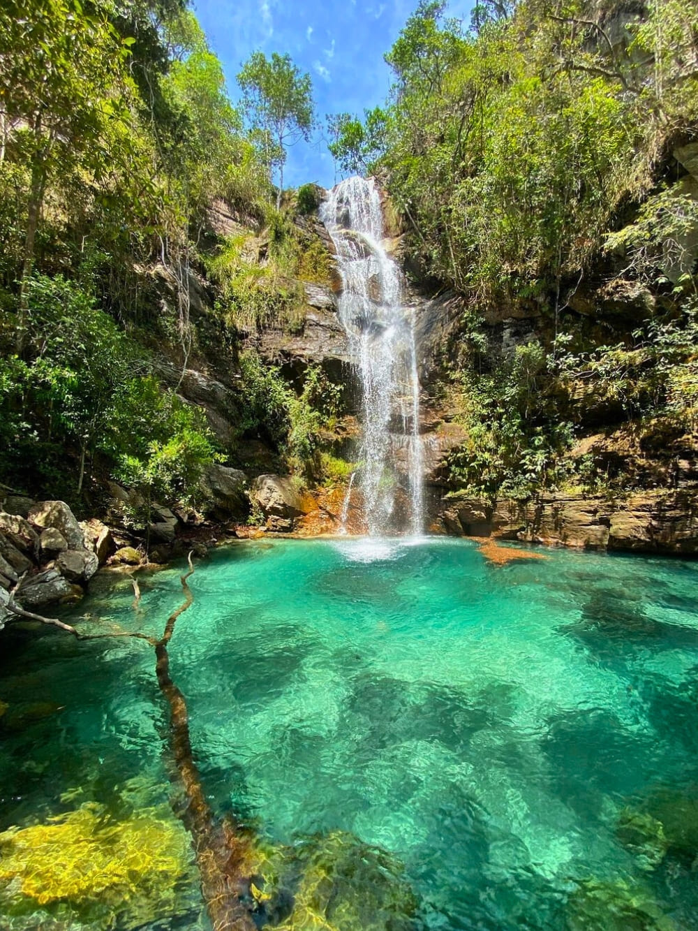 Cerrado in Brazil - Chapada dos Veadeiros