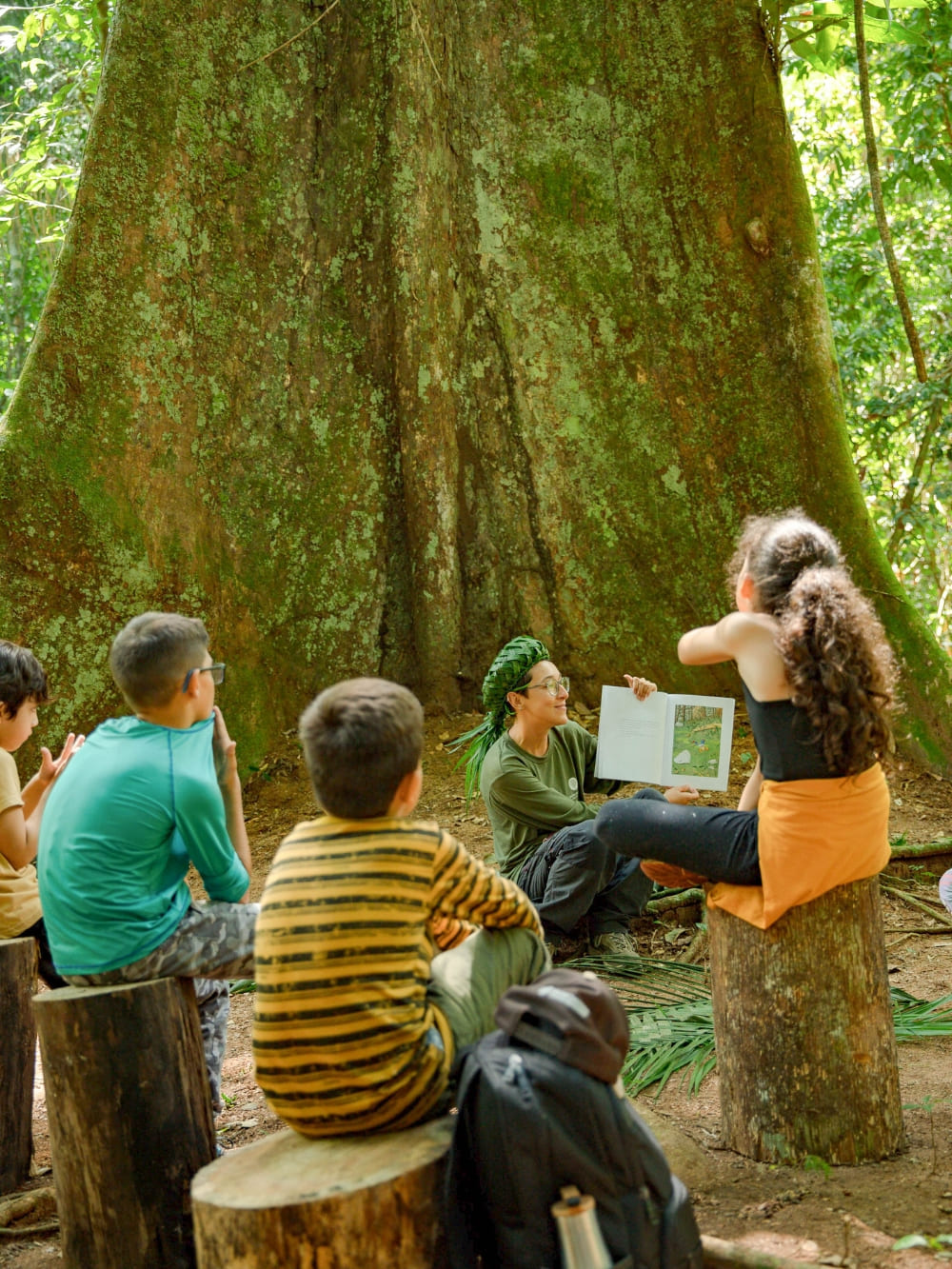 Cristalino Lodge - Amazônia