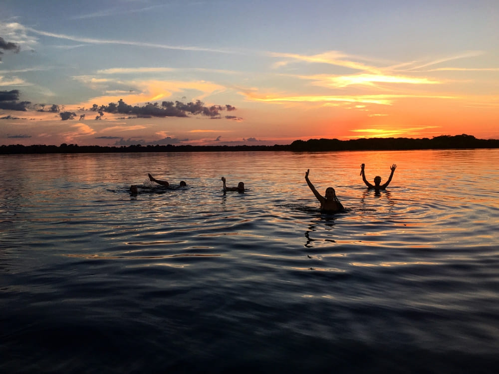 A group of travelers swims in a calm black water Amazon river during a vibrant orange sunset. A group of travelers swims in a calm black water Amazon river during a vibrant orange sunset.