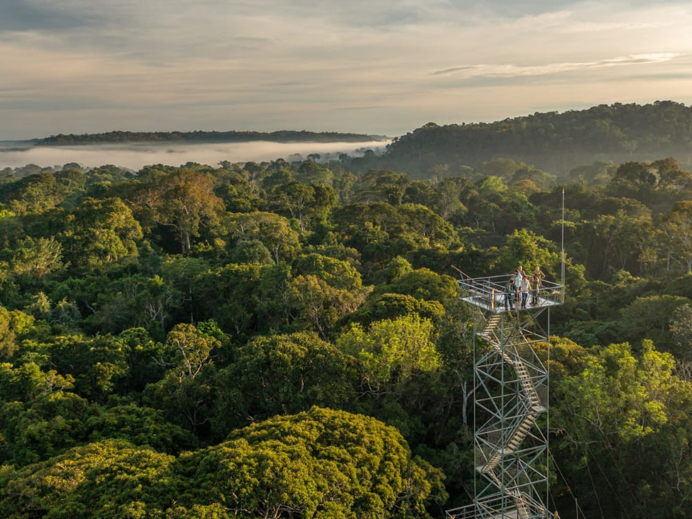 Tourists stand on an observation tower above the canopy at Cristalino Lodge, a top Amazon rainforest hotel. Tourists stand on an observation tower above the canopy at Cristalino Lodge, a top Amazon rainforest hotel.