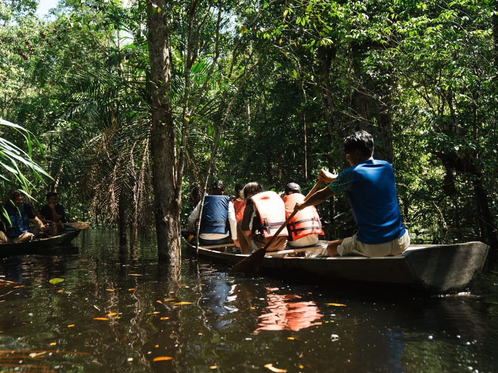 A local guide rows a wooden canoe filled with tourists through the flooded waterways of Anavilhanas National Park