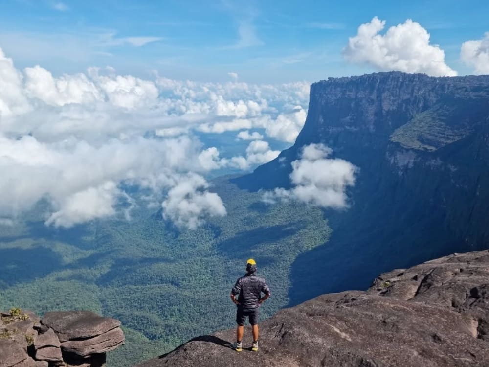 What's on top of Mount Roraima 