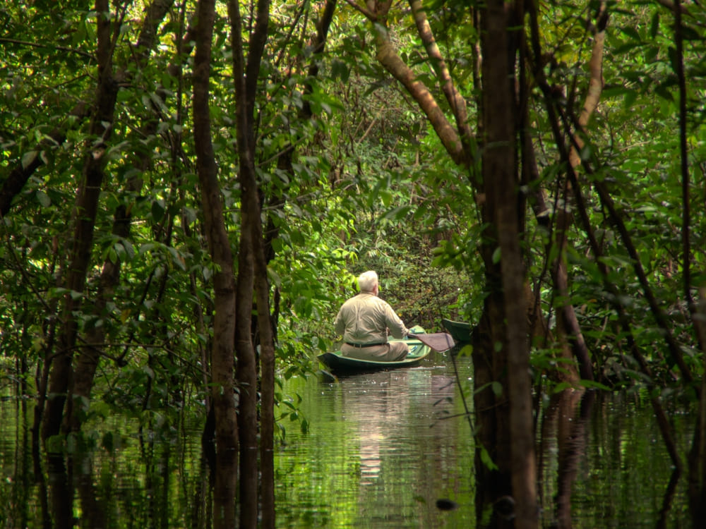  A traveler paddles a small wooden canoe through a flooded blackwater river in the Amazon. 