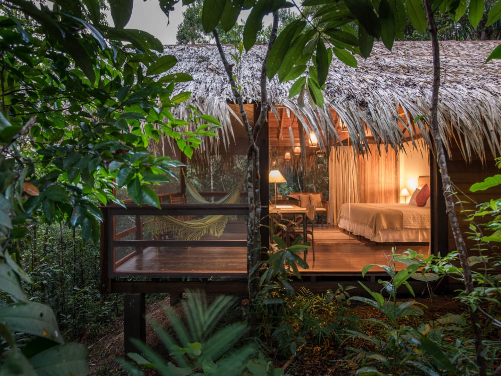 A comfortable, illuminated room in an Amazon jungle lodge with a thatched roof, surrounded by native vegetation.