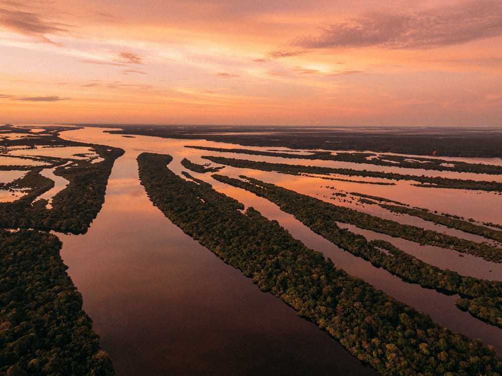 Aerial view of the labyrinthine islands and narrow channels of the Anavilhanas Archipelago on the Rio Negro.