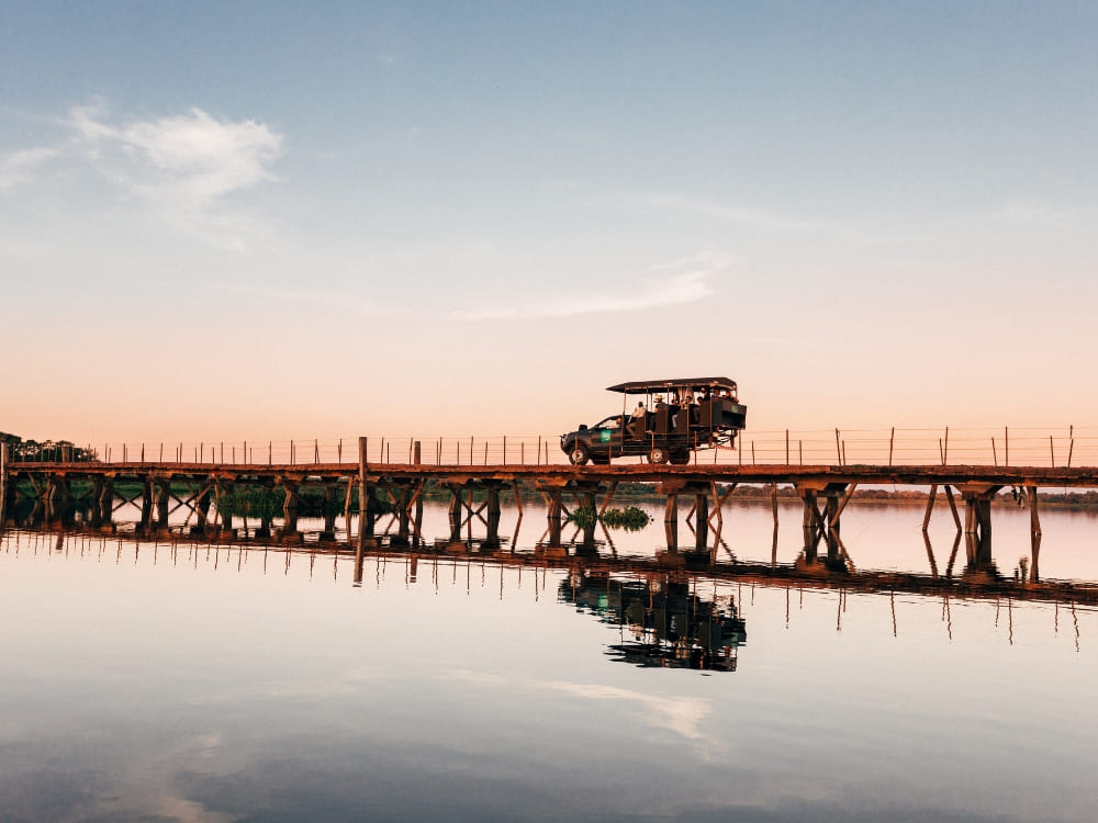 A safari vehicle crosses a wooden bridge over a reflective river at sunset. A typical scene during an adventurous pantanal trip and pantanal safari. A safari vehicle crosses a wooden bridge over a reflective river at sunset. A typical scene during an adventurous pantanal trip and pantanal safari.