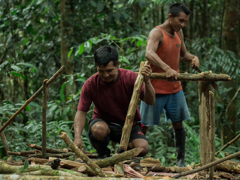  Two local guides building a wooden structure during a jungle survival tour in the Amazon.
