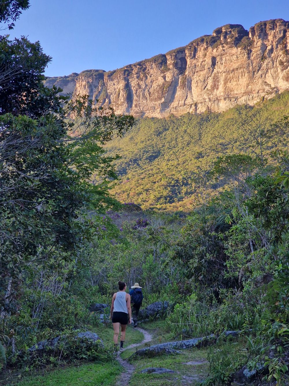 Two hikers walk along a narrow dirt path through lush green vegetation towards a massive, towering rock wall in Vale do Pati. Two hikers walk along a narrow dirt path through lush green vegetation towards a massive, towering rock wall in Vale do Pati.