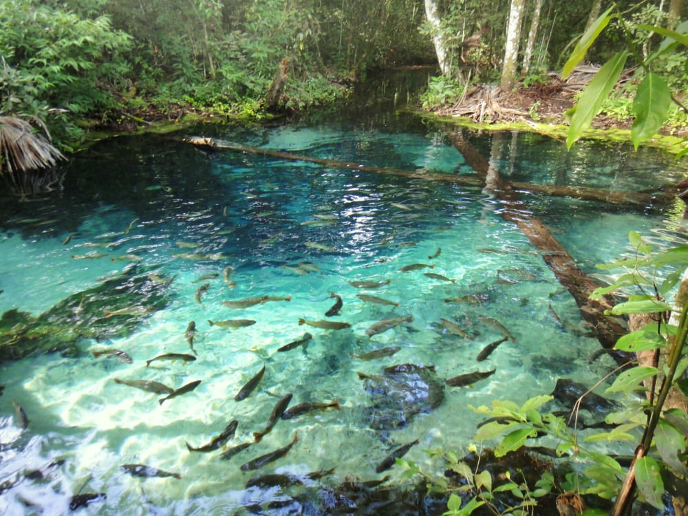 Nobres (Mato Grosso)