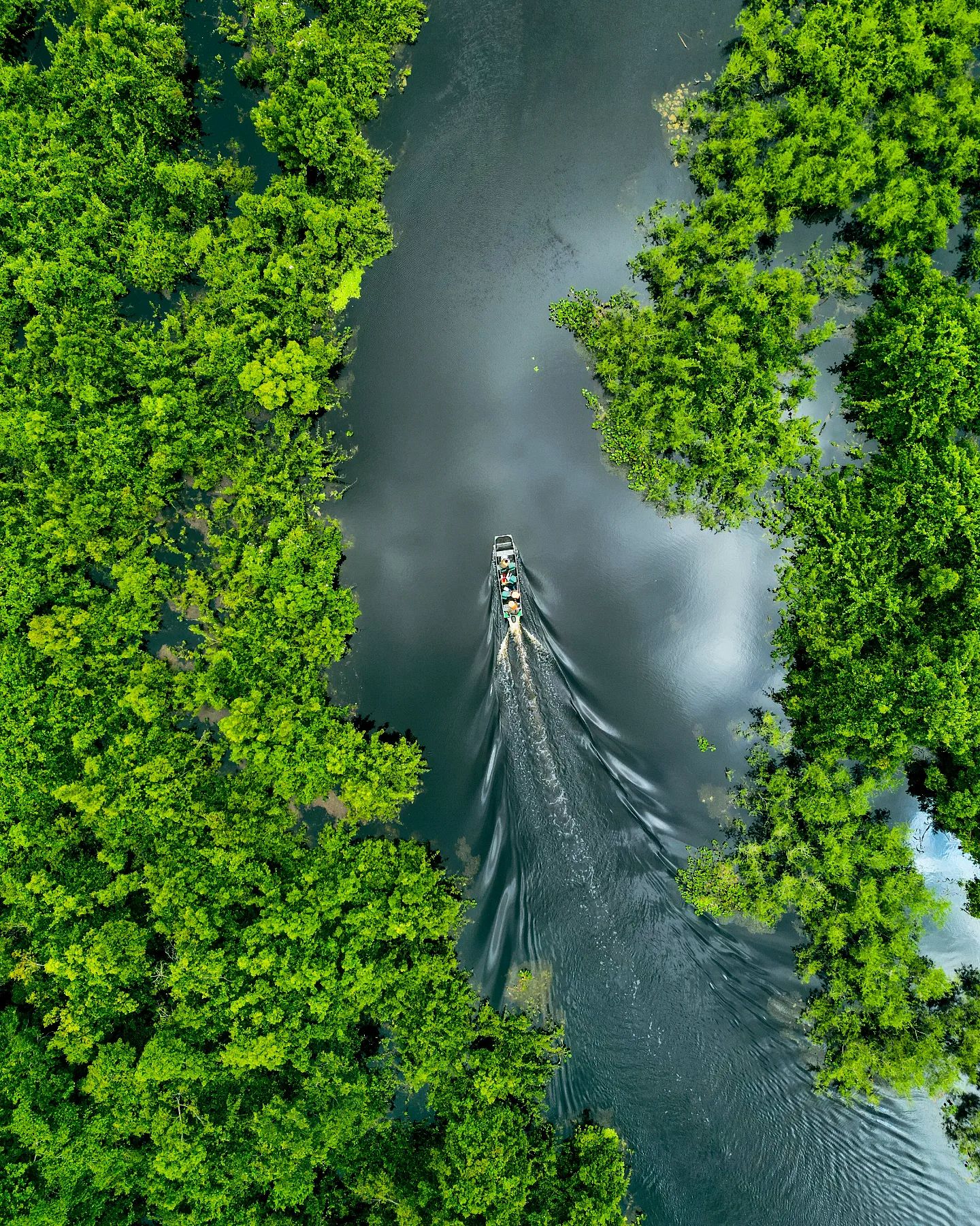 An aerial view of a boat navigating through lush green waterways during the wet season, the best time to visit the Pantanal for landscape photography.
