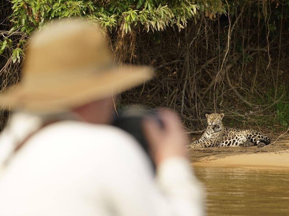 A wildlife photographer capturing a jaguar on a riverbank during a specialized Pantanal safari.