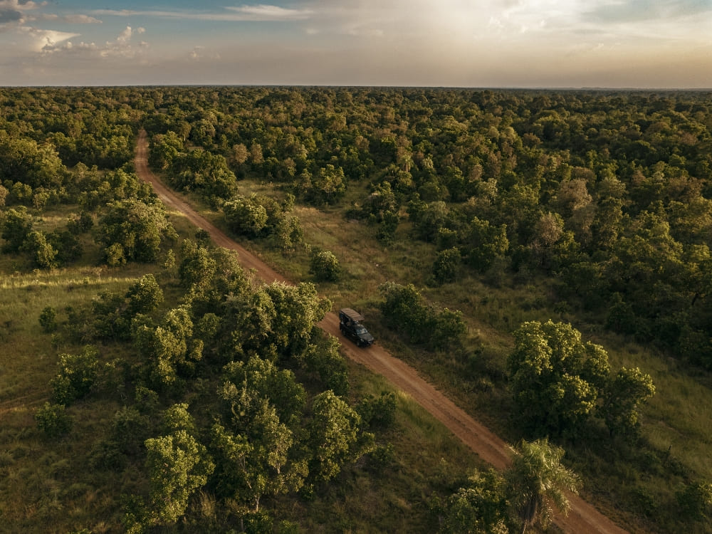 Aerial view of a 4x4 vehicle driving along a long dirt road surrounded by dense trees and vegetation. Aerial view of a 4x4 vehicle driving along a long dirt road surrounded by dense trees and vegetation.