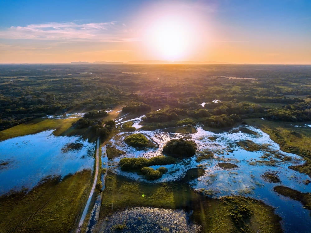 Panoramic aerial view of flooded plains, winding rivers, and green forests of Pantanal, Brazil under a bright sun.