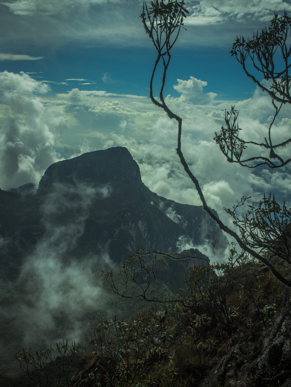 The dark, rocky peak of Pico da Neblina towering above a thick layer of white clouds in the Amazon Rainforest.