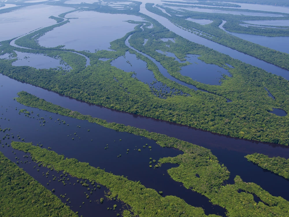 Aerial view of the Anavilhanas National Park showcasing densely vegetated islands cut by the waters of the Negro River.