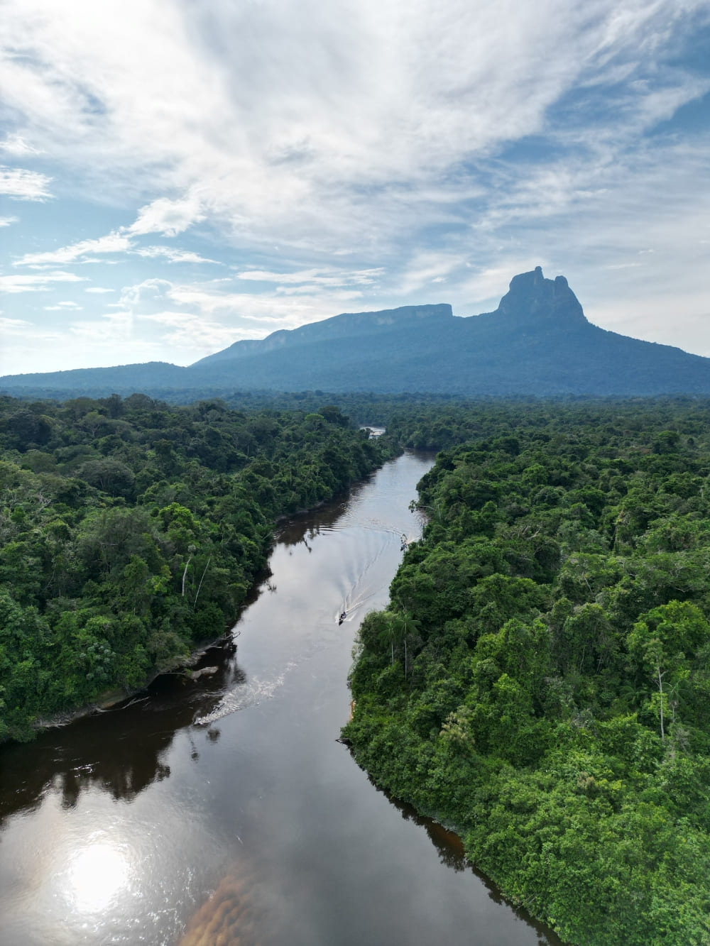 Aerial view of a dark river winding through the vast Amazon Rainforest, with Pico da Neblina in the background