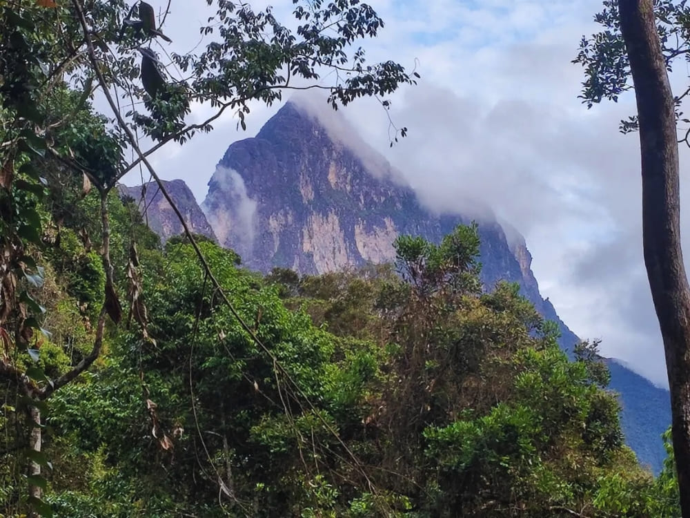 The towering mountain of Pico da Neblina viewed through the dense, lush green canopy of the Amazon Rainforest. 