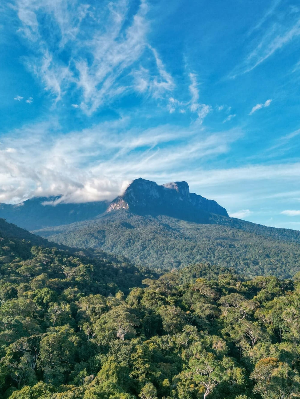 The massive peak of Pico da Neblina rising above an endless green expanse of Amazonian trees under a blue sky. 