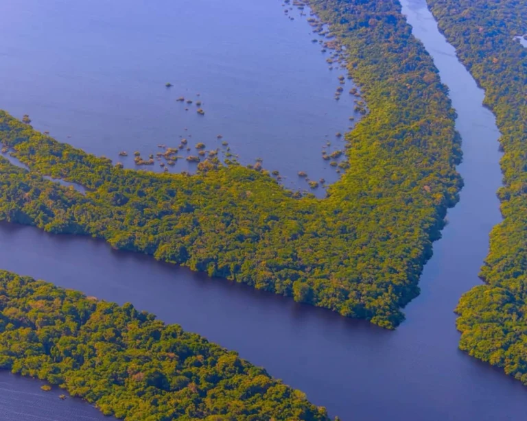 15 faits sur l’Amazonie au Brésil 15 faits sur l’Amazonie au Brésil