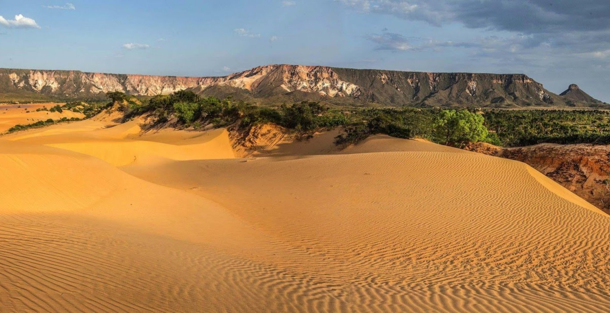 Sweeping golden sand dunes of Jalapão Brazil catching warm afternoon light, with green vegetation and dramatic red sandstone escarpments rising in the background beneath a partly cloudy sky