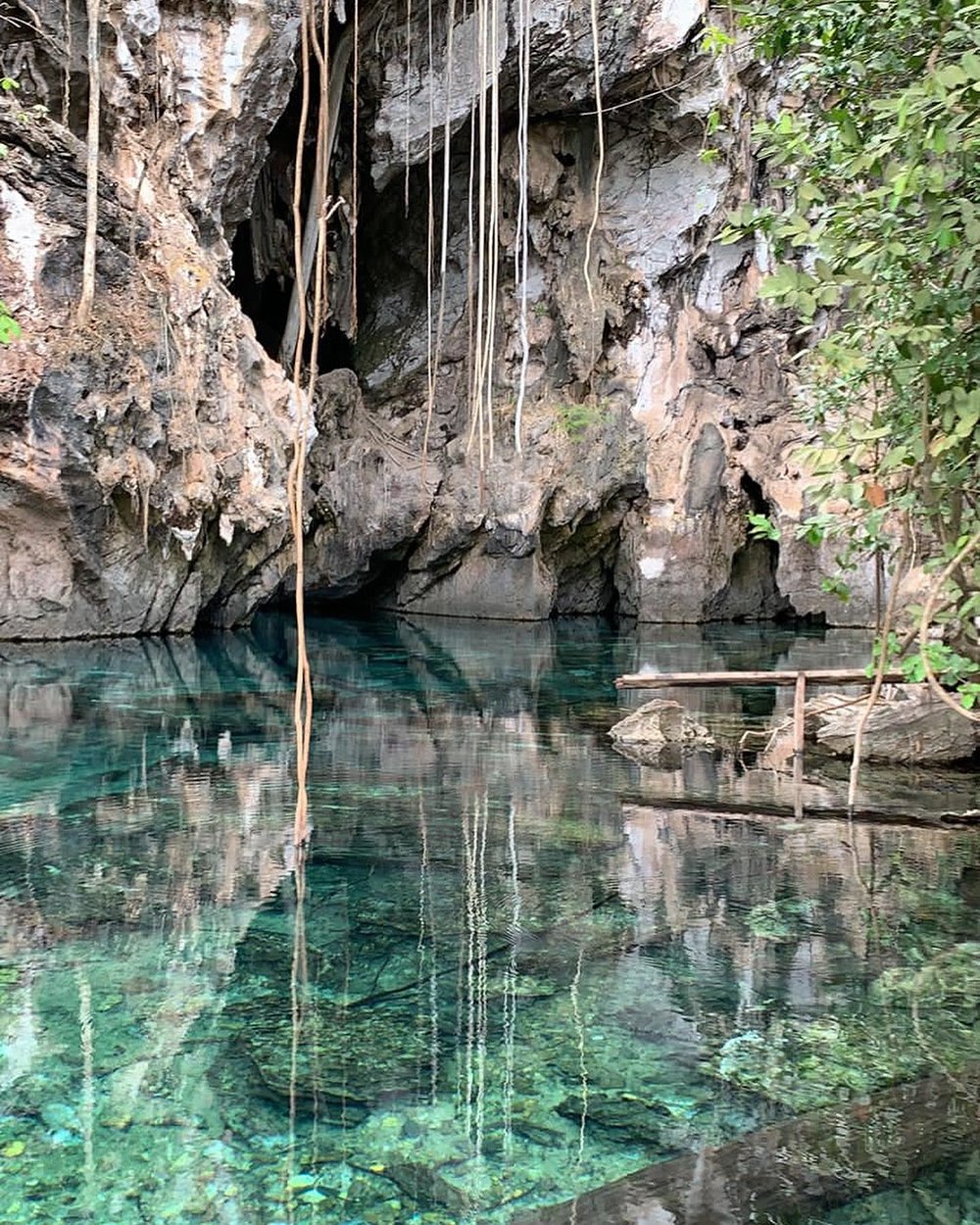 Crystal-clear turquoise water filling a natural limestone cave pool on the 4-day Jalapão tour, with long trailing vines hanging from the rocky overhang and a small wooden platform at the water's edge
