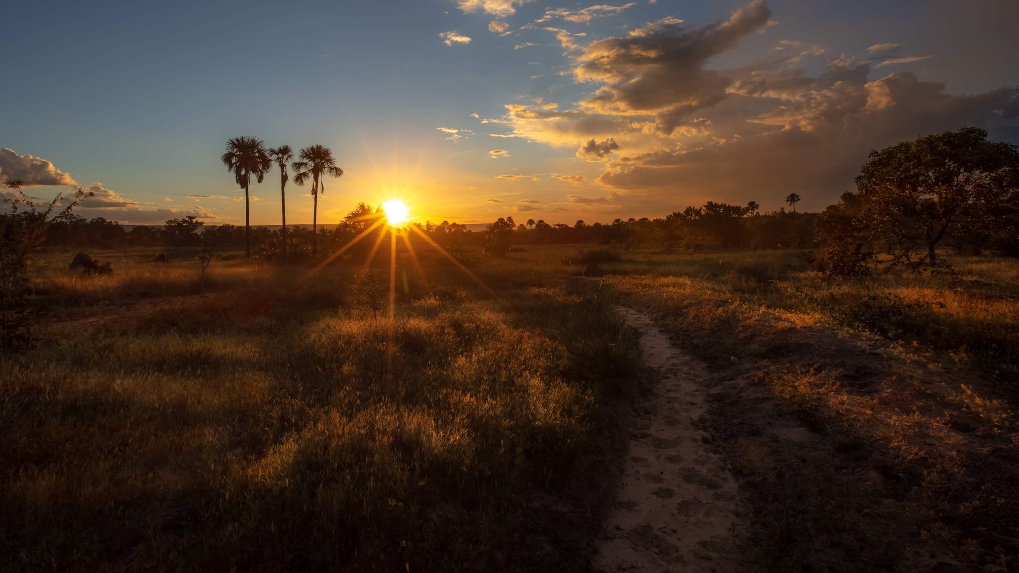 A sandy dirt trail leads toward a blazing sunset through open savanna grassland with tall palm silhouettes on this 4-day Jalapão tour