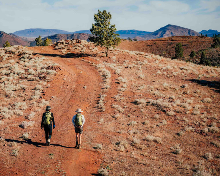 10 must-visit global destinations for sustainable travel in 2026