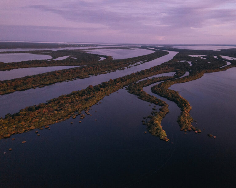 Parco Nazionale Anavilhanas: l’arcipelago dell’Amazzonia, in Brasile Parco Nazionale Anavilhanas: l’arcipelago dell’Amazzonia, in Brasile