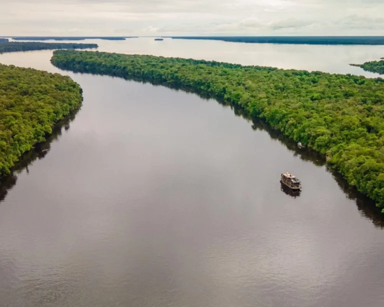 Best Amazon River Cruises in Brazil Best Amazon River Cruises in Brazil