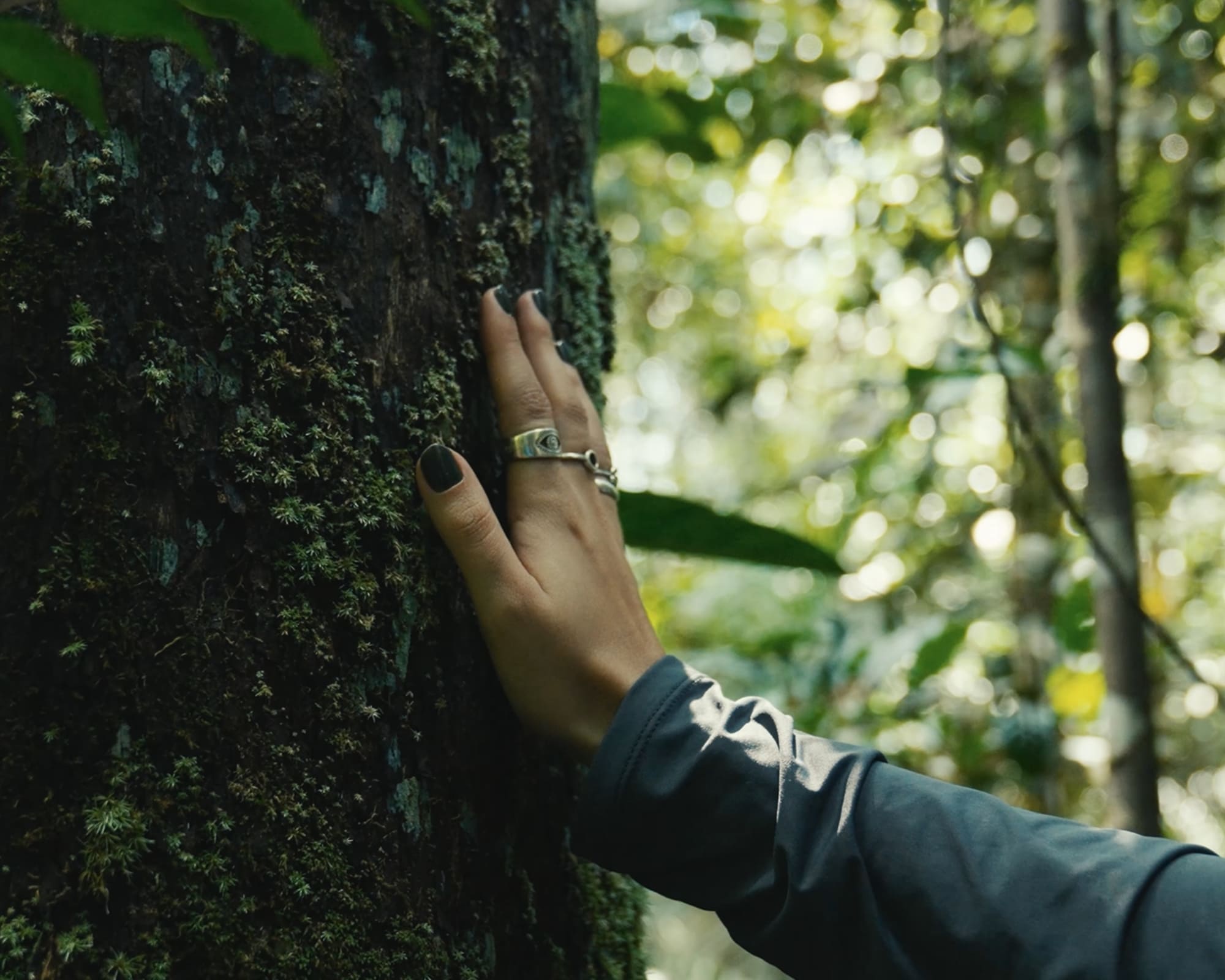 Earth Day: 10 Transformative Conservation Projects in Brazil