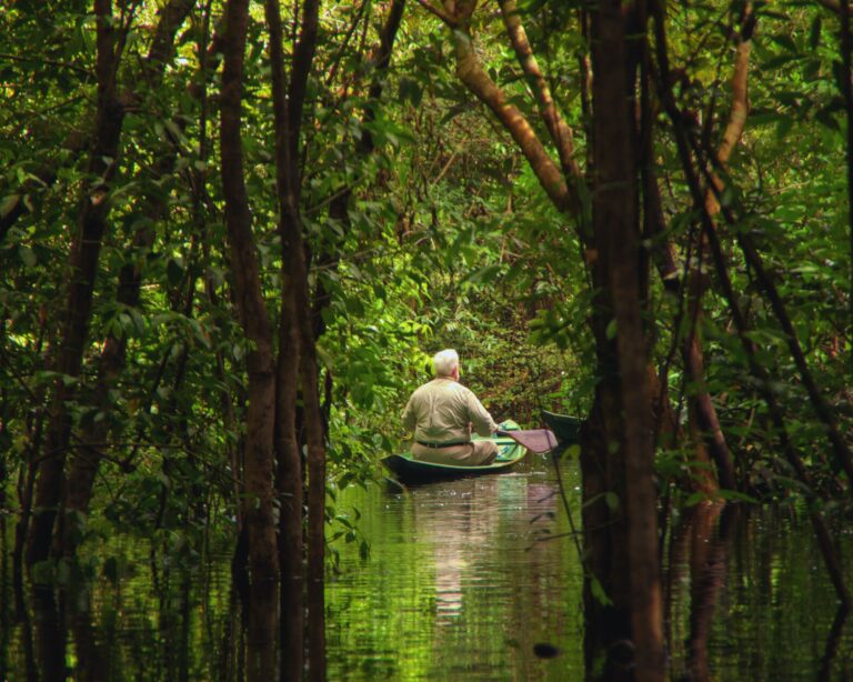 10 conseils de voyage pour l’Amazonie afin de profiter au maximum de votre aventure 10 conseils de voyage pour l’Amazonie afin de profiter au maximum de votre aventure