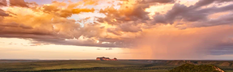 Come visitare il Cerrado in Brasile: parchi, fauna e Chapada das Mesas