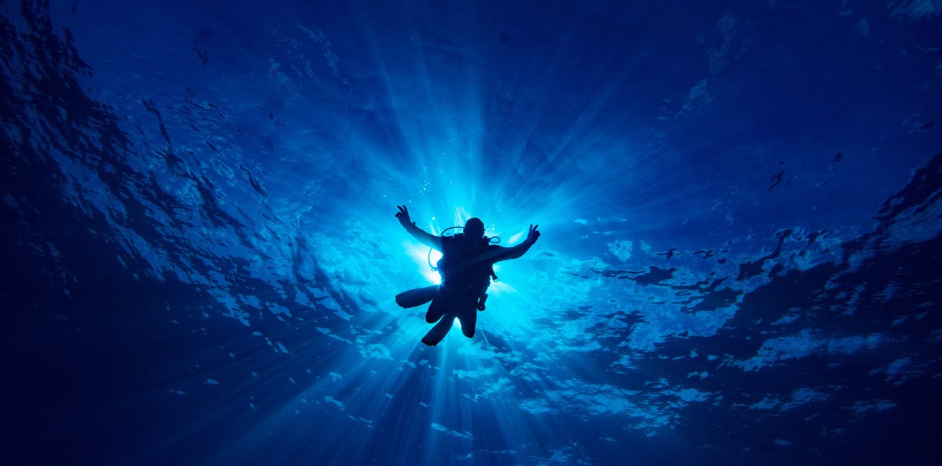 When is the Best Time to Dive in Fernando de Noronha, Brazil?