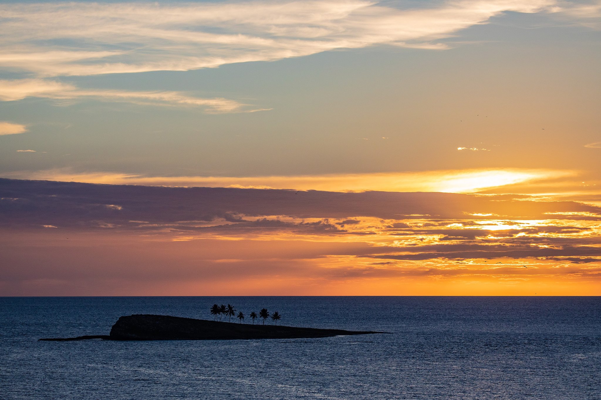 Silhouette of a tiny palm-fringed islet in the Abrolhos archipelago set against a vivid orange and pink sunset sky