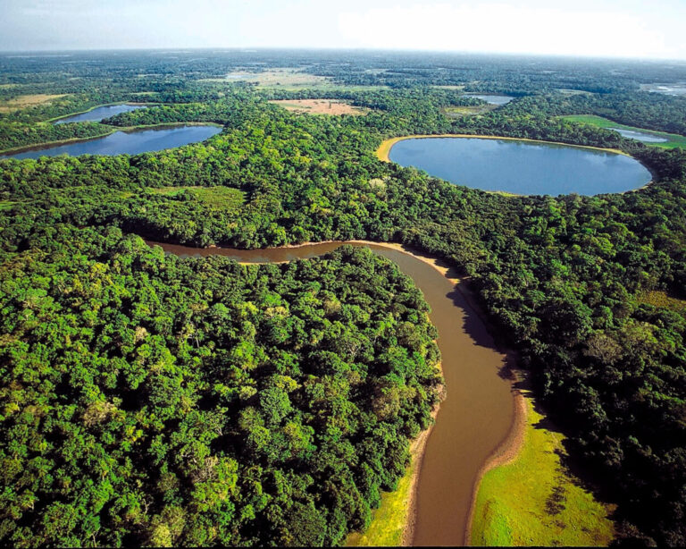 When is the Best Time to Visit the Pantanal?