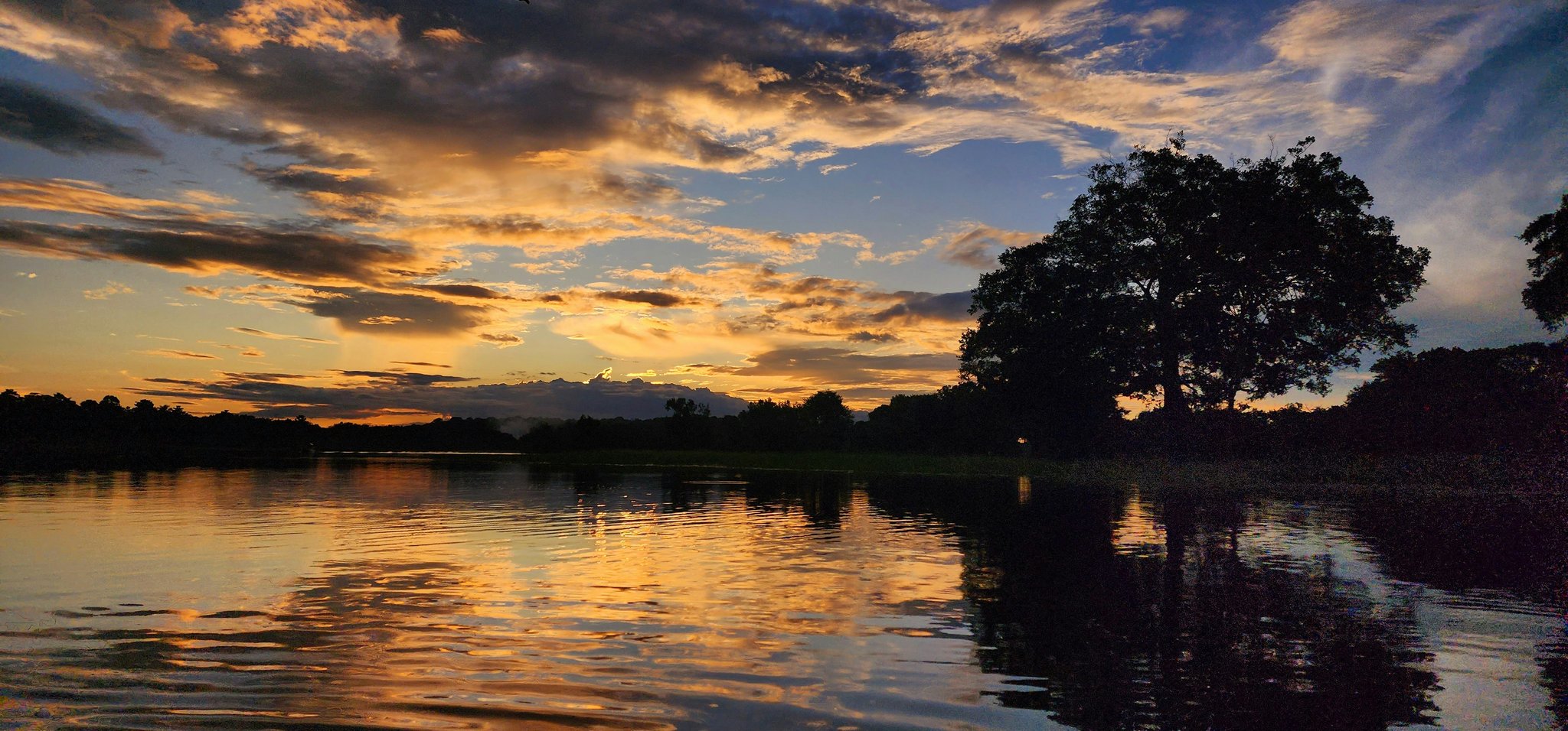 A dramatic Amazon river sunset on an Amazon cruise from Alter do Chão, with golden clouds reflected across calm dark water and silhouetted trees lining the far bank