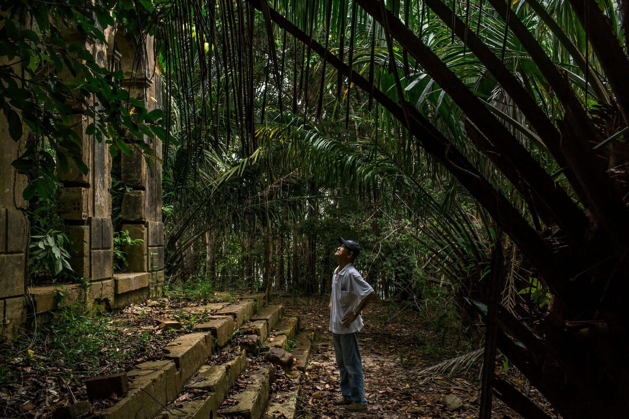 Stone steps, a canopy of palms — Airão Velho swallowed whole by the forest. A man gazes upward at towering palms and vines beside moss-covered stone ruins on this Amazon Cruise Trip in Brazil, standing on an ancient stepped pathway reclaimed by rainforest