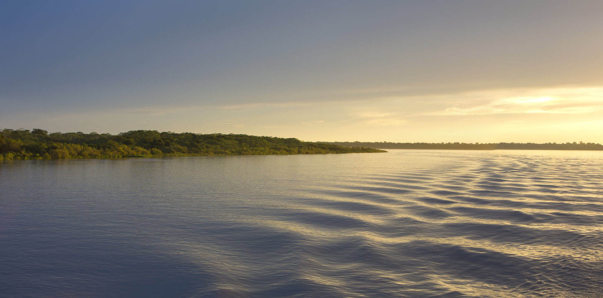 Golden light spills across the black water as the forest fades into dusk. Photo: piccaya A wide tropical river stretches to the horizon at golden-hour sunset, with a dense green forest shoreline along the left bank during an Amazon cruise trip in Brazil