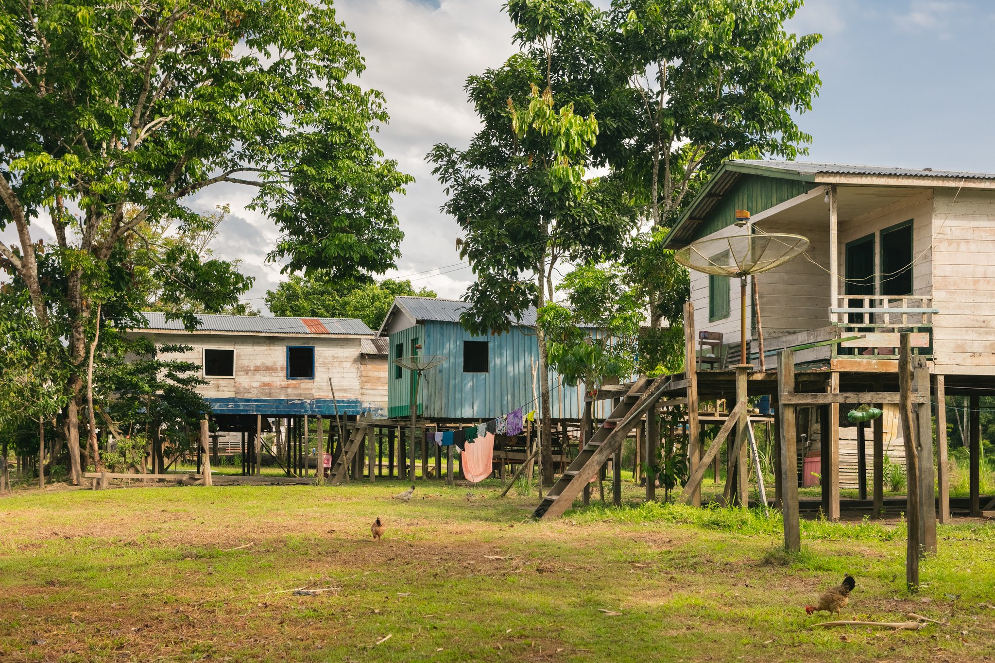 Wooden stilt houses with corrugated metal roofs in a riverside community, laundry hanging beneath raised floors and chickens roaming the grass — a glimpse of daily life on an amazon rainforest ecolodge trip in brazil