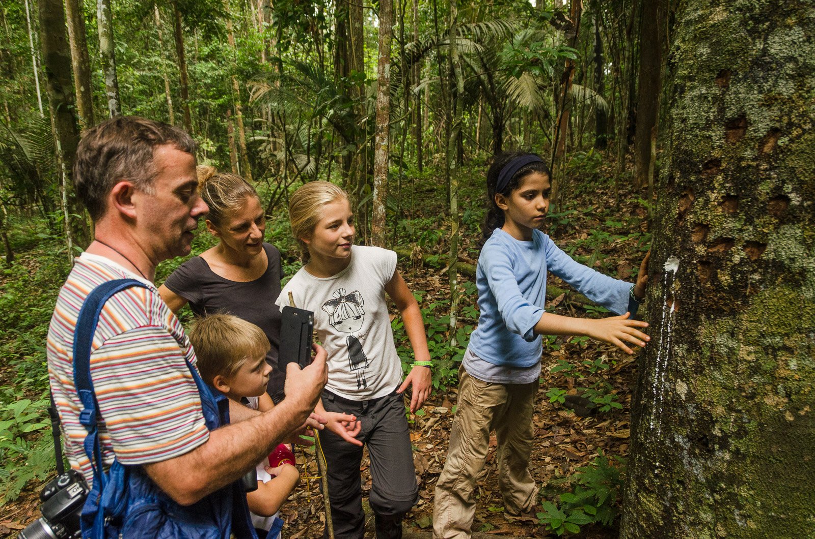 A family with two children touches white latex oozing from a large tree trunk during an amazon rainforest ecolodge trip in brazil, with a guide explaining in a dense tropical forest