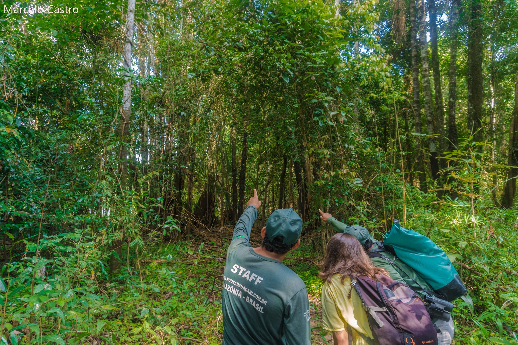 A Uakari Lodge staff guide and a guest with a backpack point up into the dense green canopy during an amazon rainforest ecolodge trip in brazil